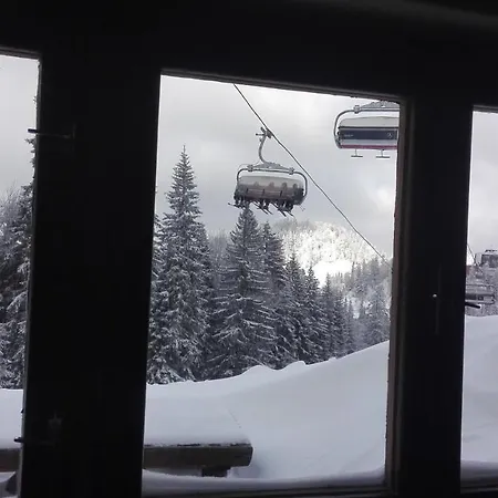 Snow Boki *