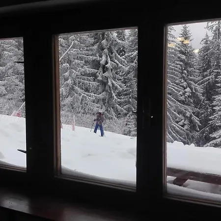 Snow Boki *