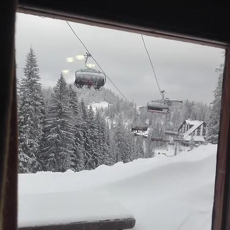 Snow Boki Tatil Evi *